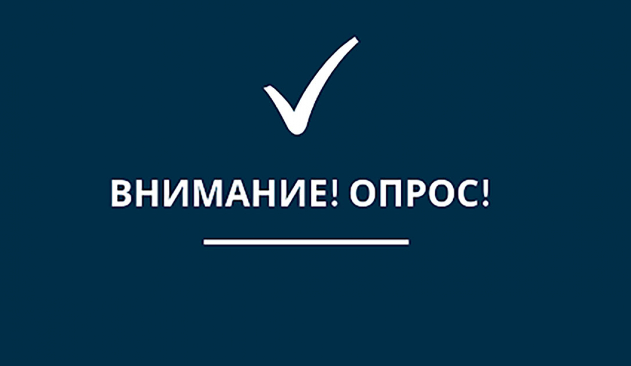 Внимание, опрос! Что мы любим читать и смотреть о войне?