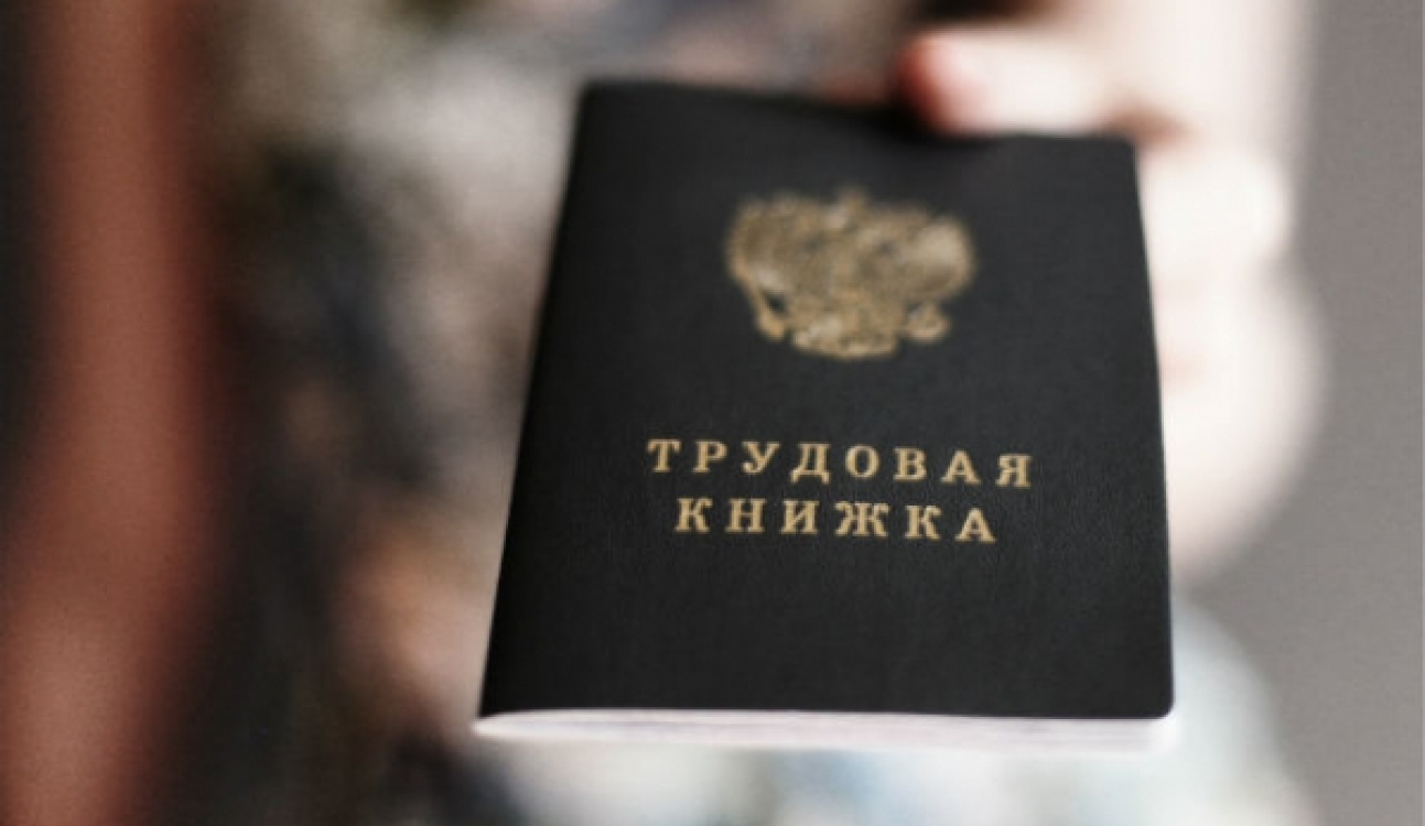 Министерство науки и высшего образования оказывает выпускникам вузов содействие в трудоустройстве