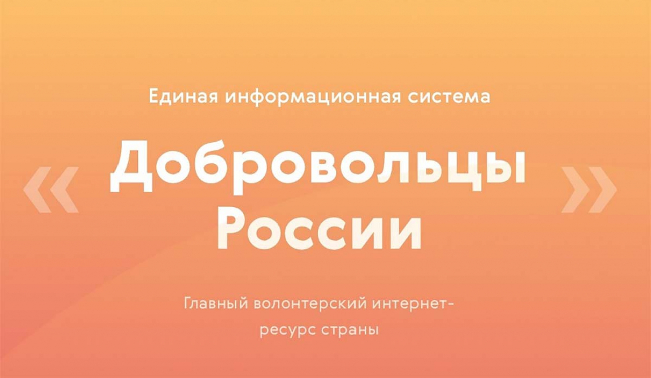 Памятка волонтерам